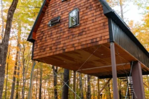 Services-5 Services-5